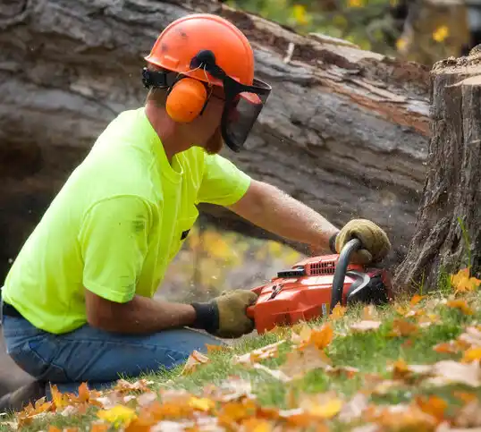 tree services Rockville Centre